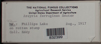 Image Associated With the Occurence
